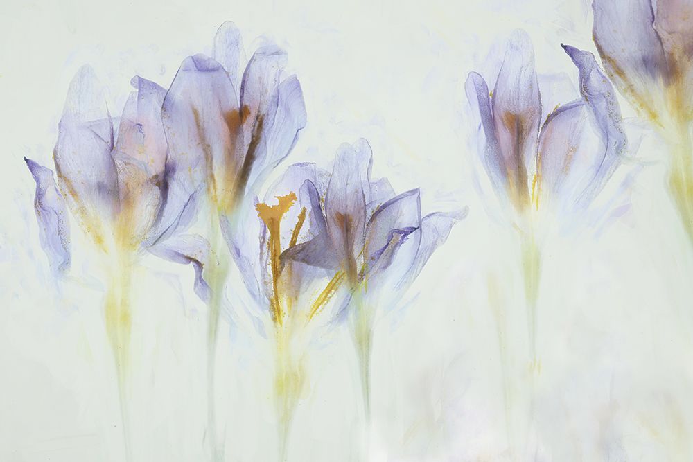 Spring art print by Nel Talen for $57.95 CAD