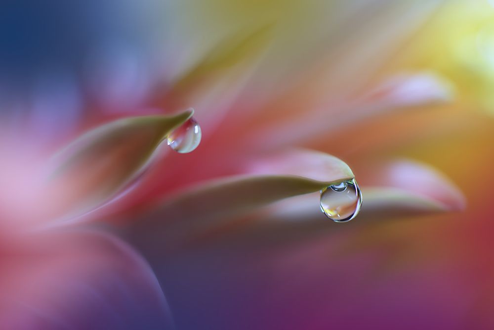 Sound Of Colors... art print by Juliana Nan for $57.95 CAD