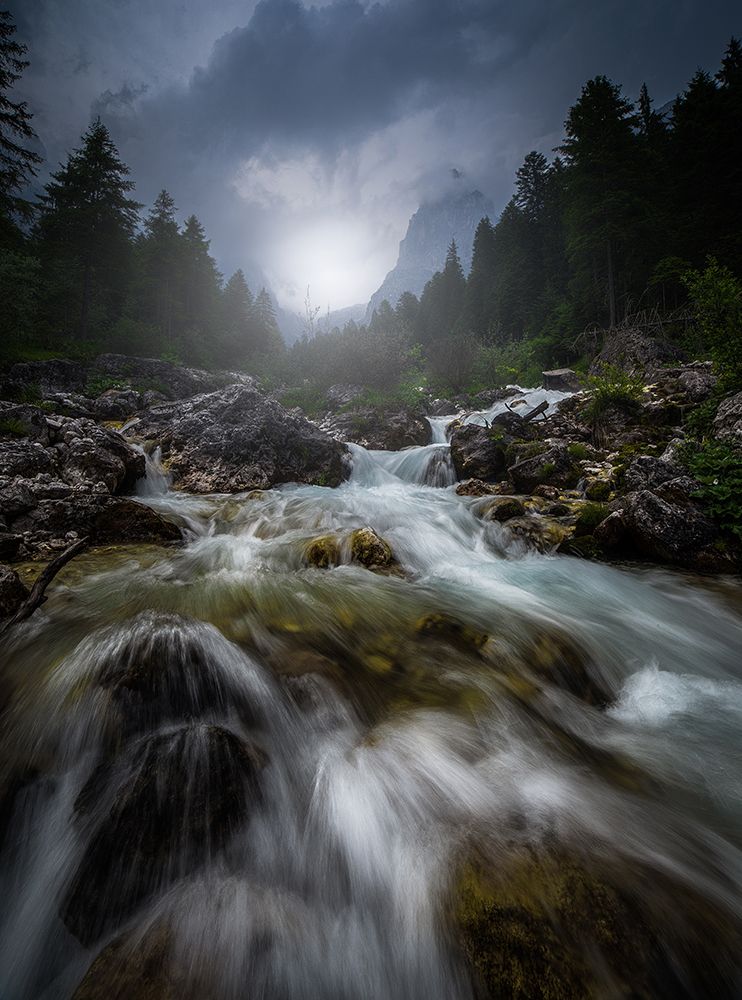 -Lost in the river- art print by Francesco Tavani for $57.95 CAD