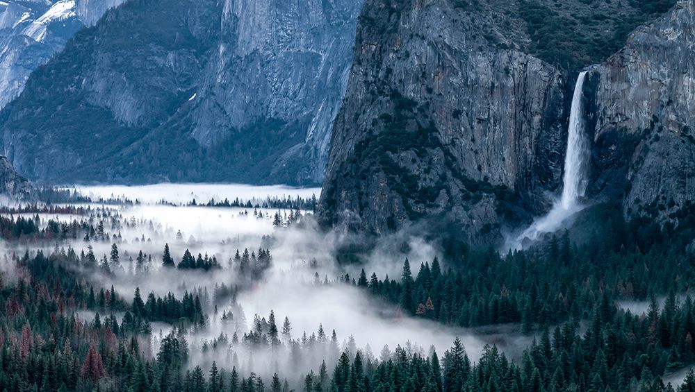 Spring In The Yosemite Valley art print by Rob Darby for $57.95 CAD