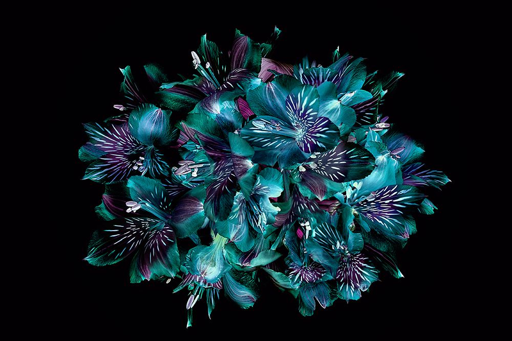 Peruvian art print by Jacky Parker for $57.95 CAD