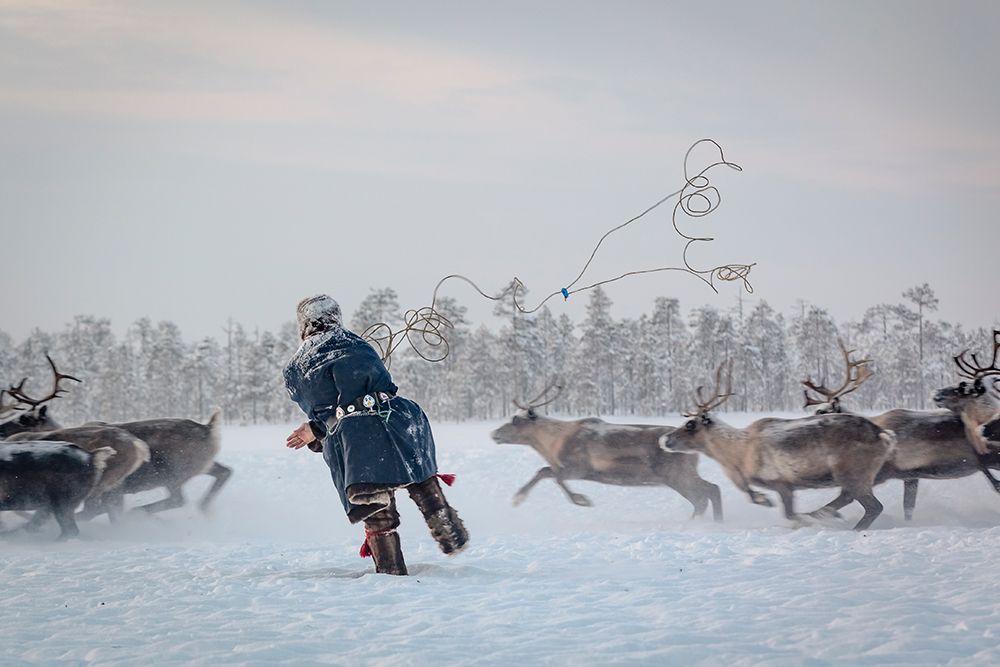 Hunting art print by Patrik Minar for $57.95 CAD