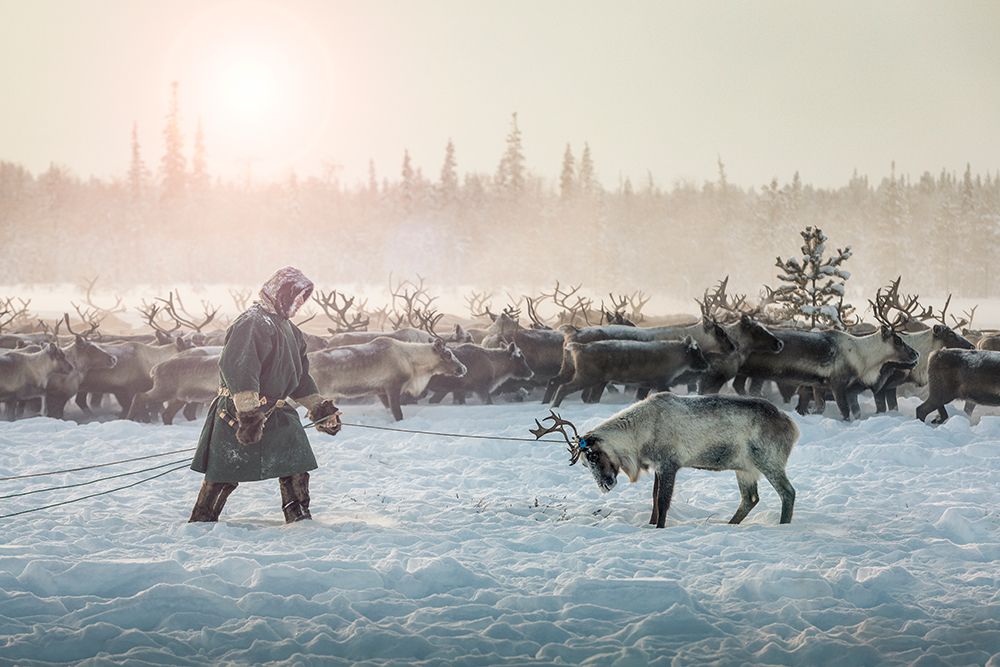 Hunting II art print by Patrik Minar for $57.95 CAD