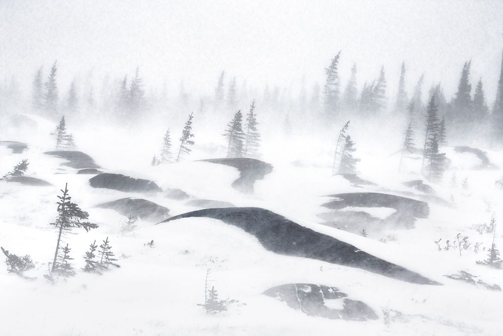 Whiteout art print by Roberto Marchegiani for $57.95 CAD