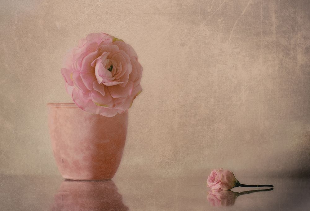 Untitled art print by Elena Arjona for $57.95 CAD