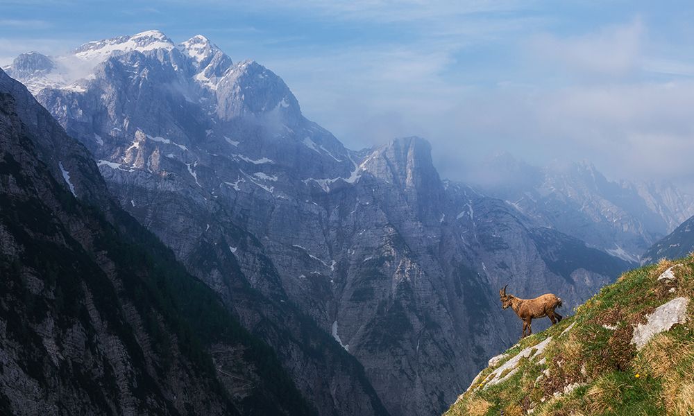 High in the mountains art print by Ales Krivec for $57.95 CAD