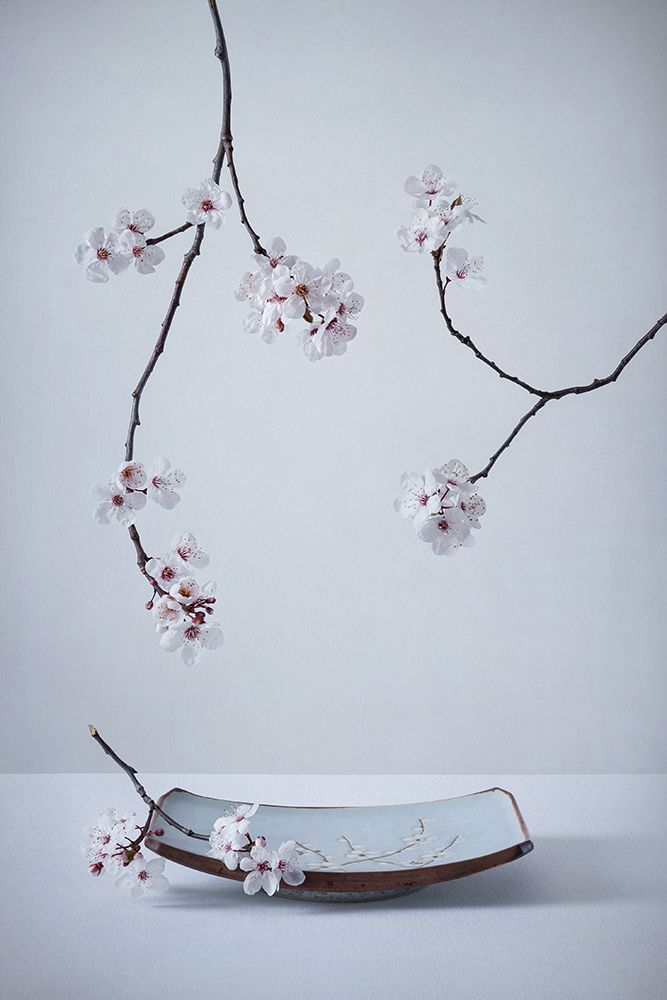 The First Cherry Blossom art print by Inna Karpova for $57.95 CAD