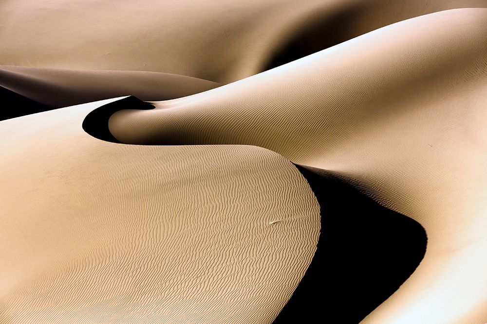 line and Curve art print by Mohammadreza Momeni for $57.95 CAD