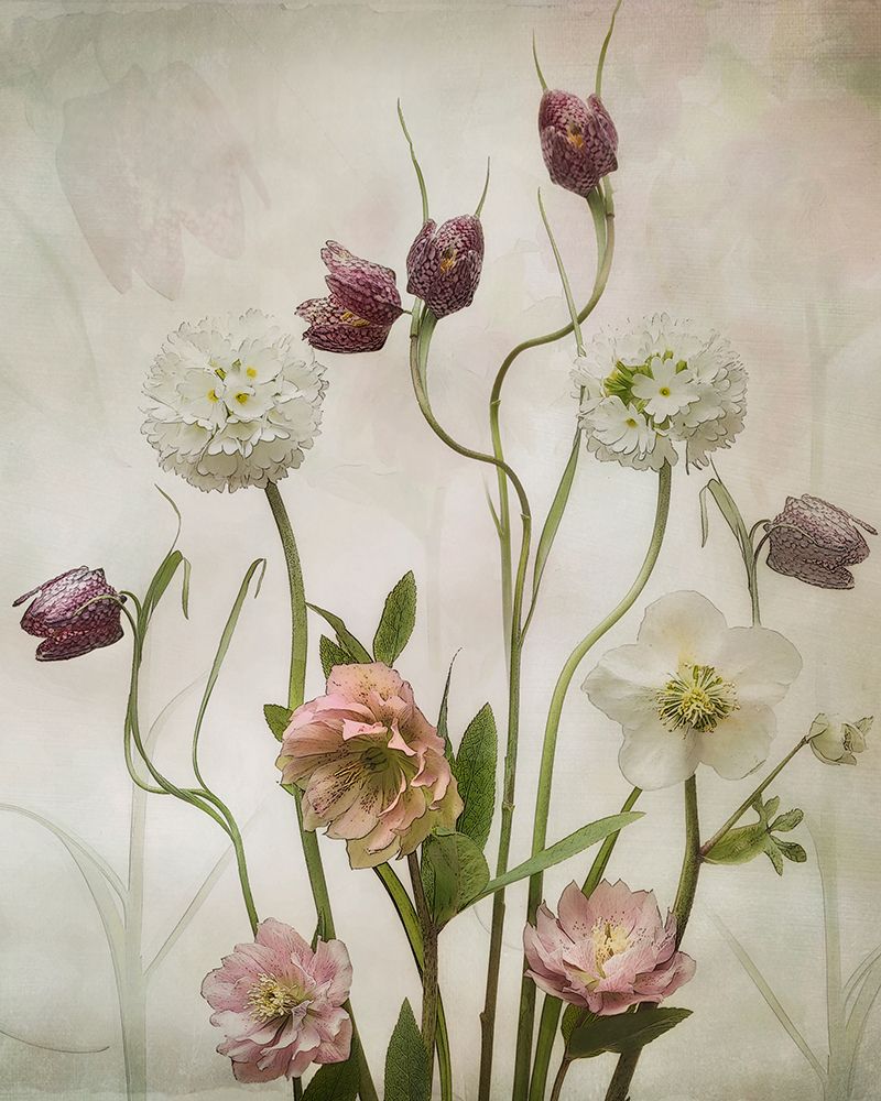 Spring Garden art print by Sharon Williams for $57.95 CAD