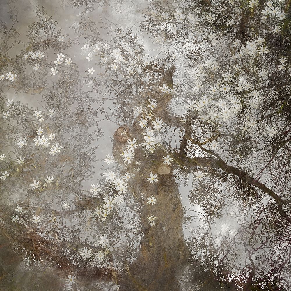 Up to heaven art print by Nel Talen for $57.95 CAD