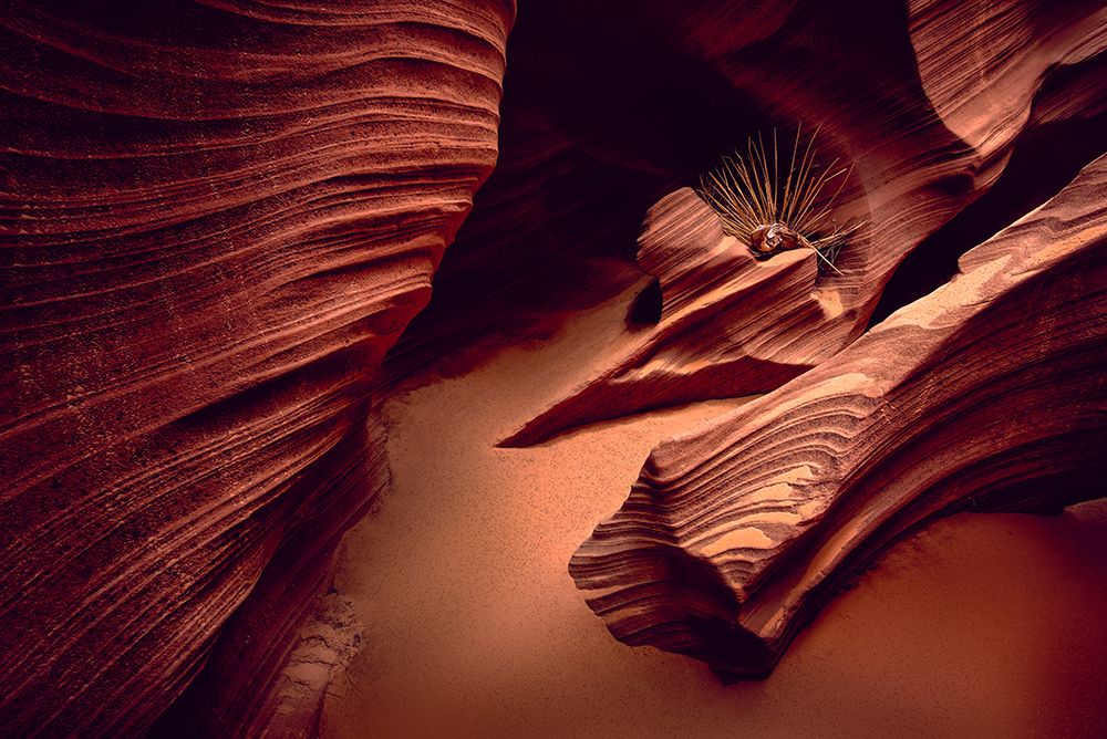 Rattlesnake Canyon art print by Mike Kreiten for $57.95 CAD