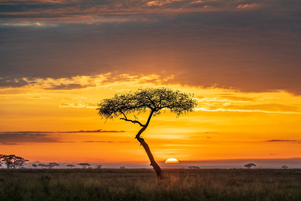 Sunrise art print by Jeffrey C. Sink for $57.95 CAD