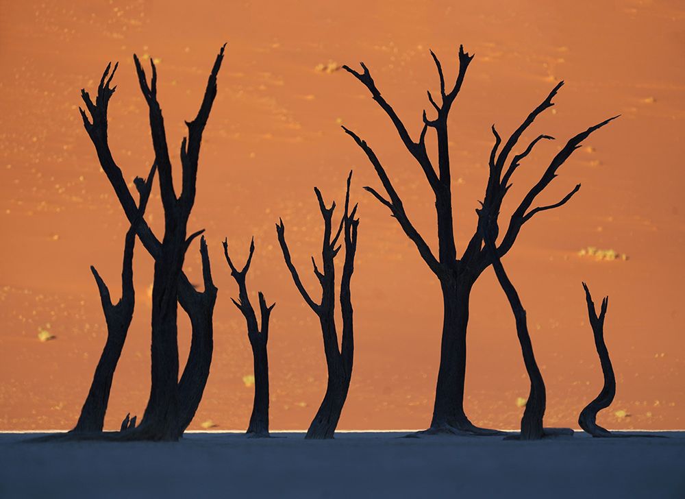 Deadvlei art print by Sarawut Intarob for $57.95 CAD