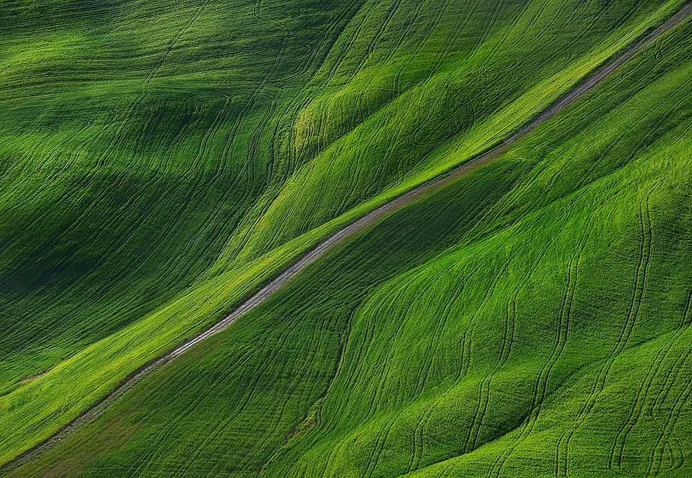 the path art print by Claudio Moretti for $57.95 CAD