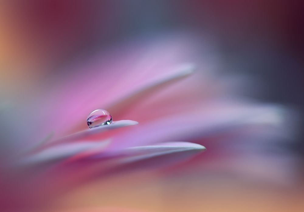 Sound Of Colors.. art print by Juliana Nan for $57.95 CAD