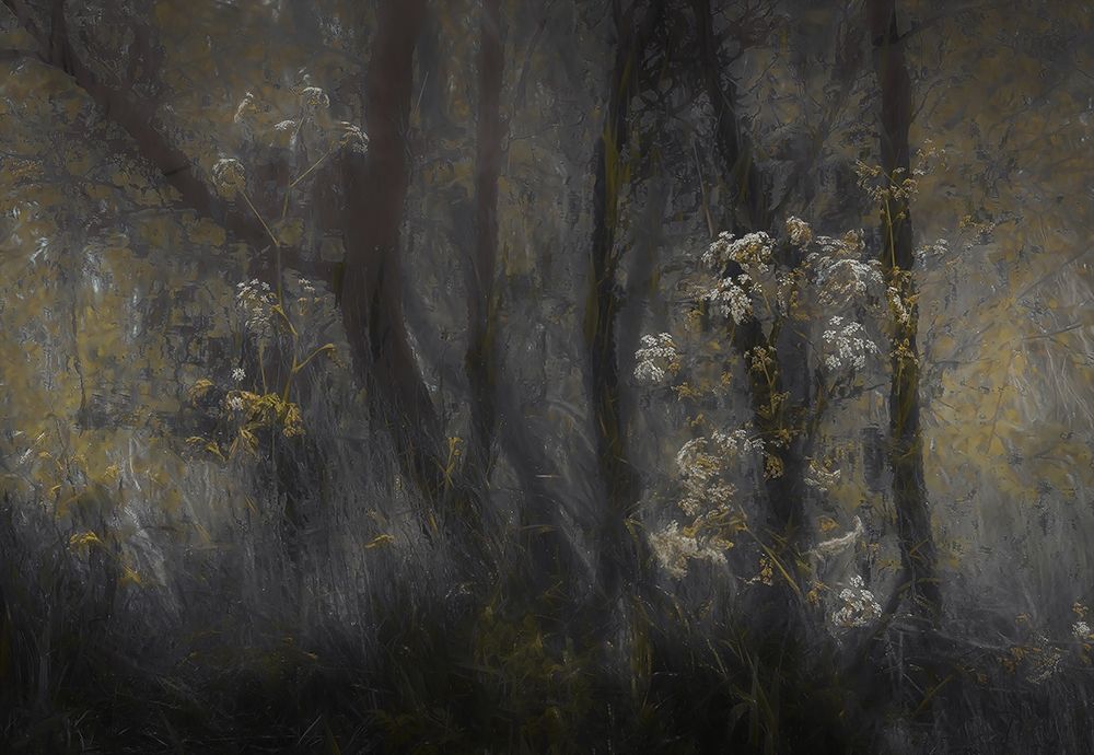 Cow parsley art print by Nel Talen for $57.95 CAD