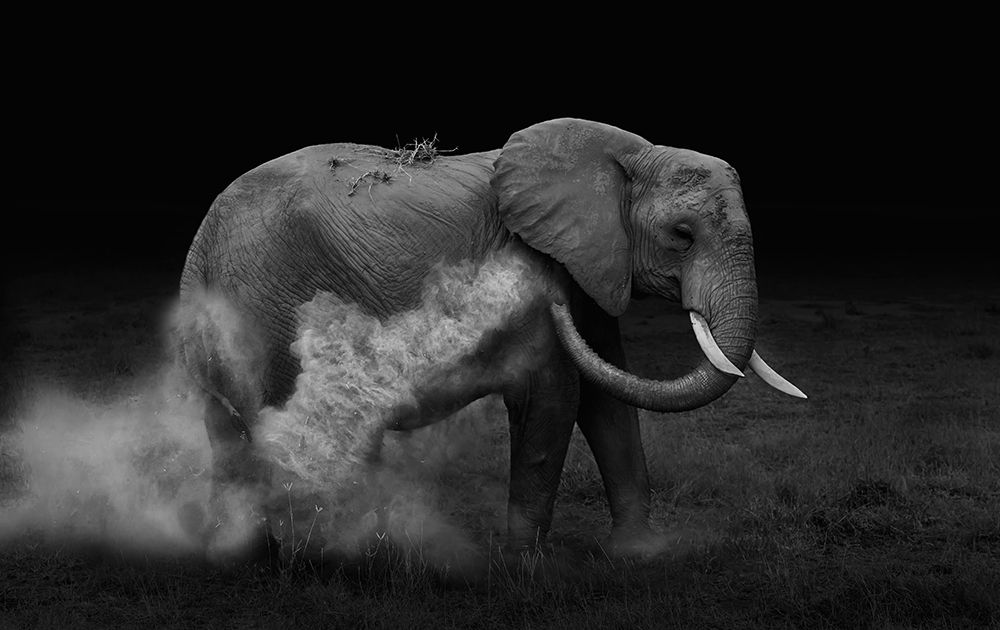 Elephent sand bathing art print by Yun Wang for $57.95 CAD
