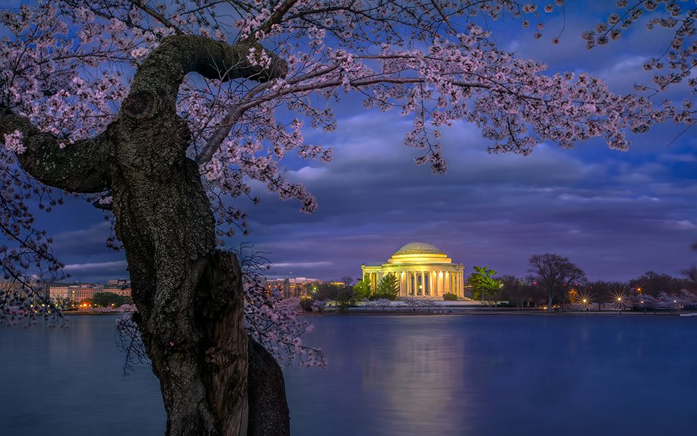 Cherry Blossoms Around The Jefferson Memorial art print by Hua Zhu for $57.95 CAD