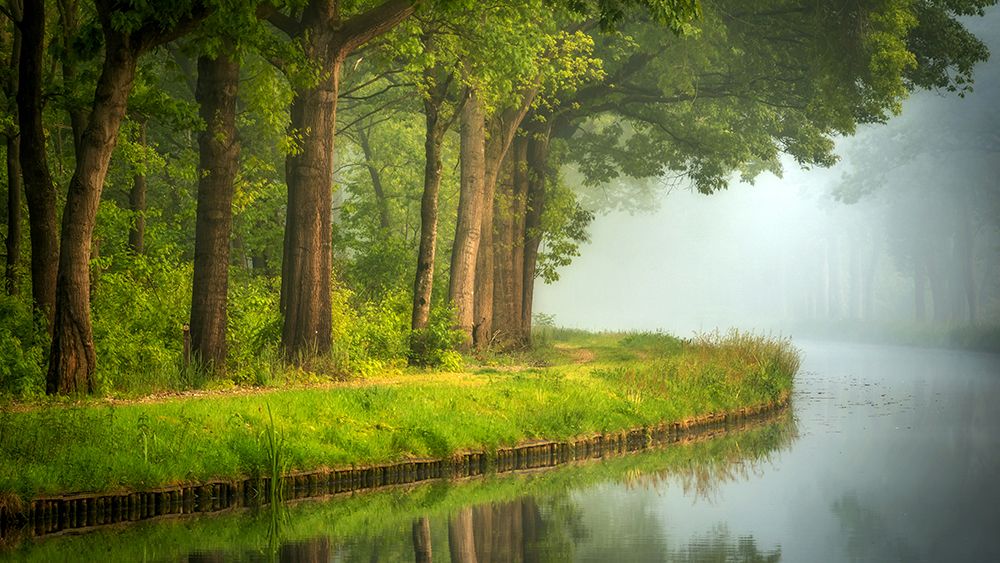 Spring art print by Sus Bogaerts for $57.95 CAD