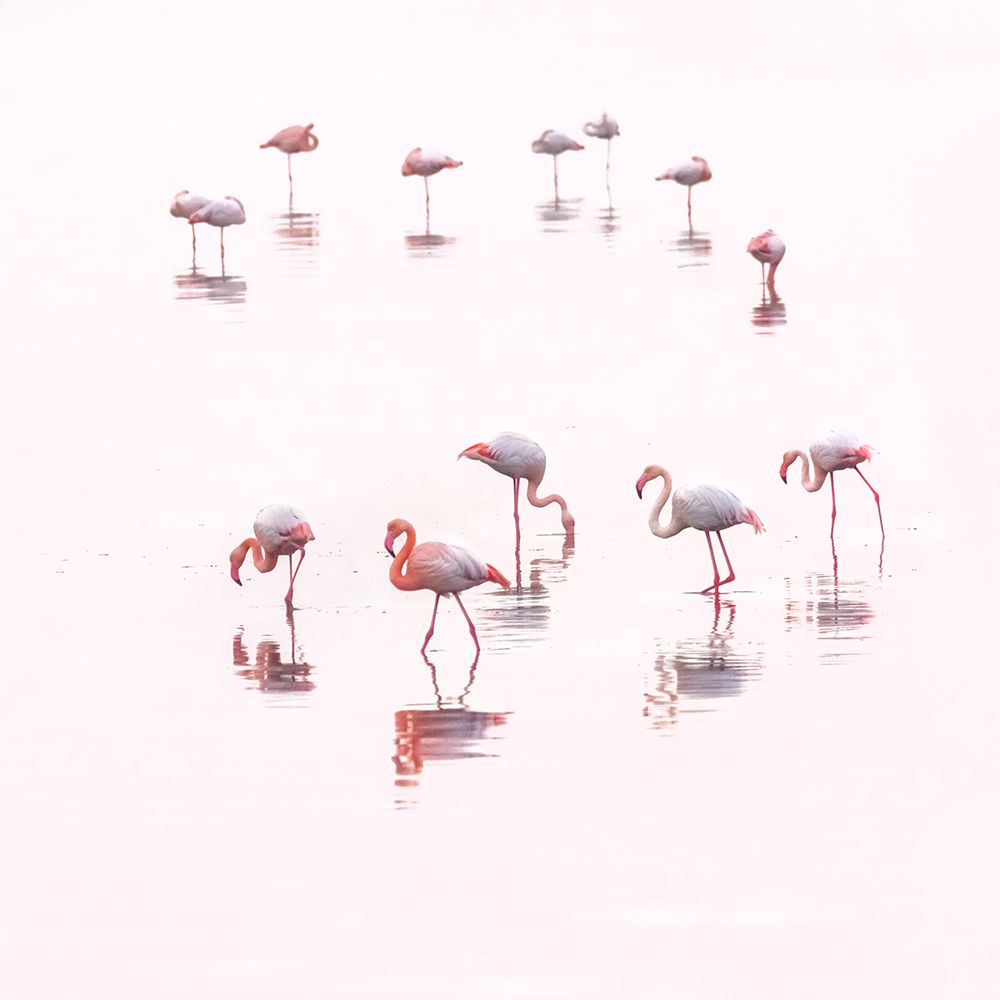 Water ballet art print by Ahmed Thabet for $57.95 CAD