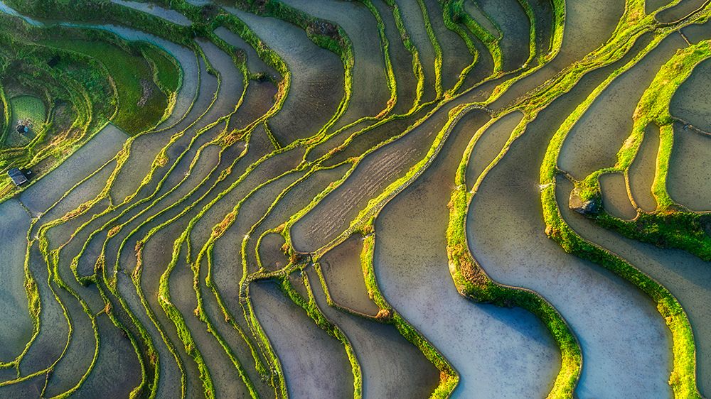 Terraced Fields art print by Mei Xu for $57.95 CAD