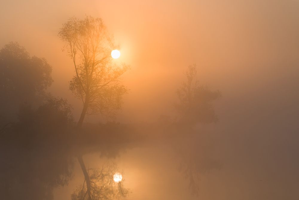 foggy sunrise art print by Marcin Orszulak for $57.95 CAD