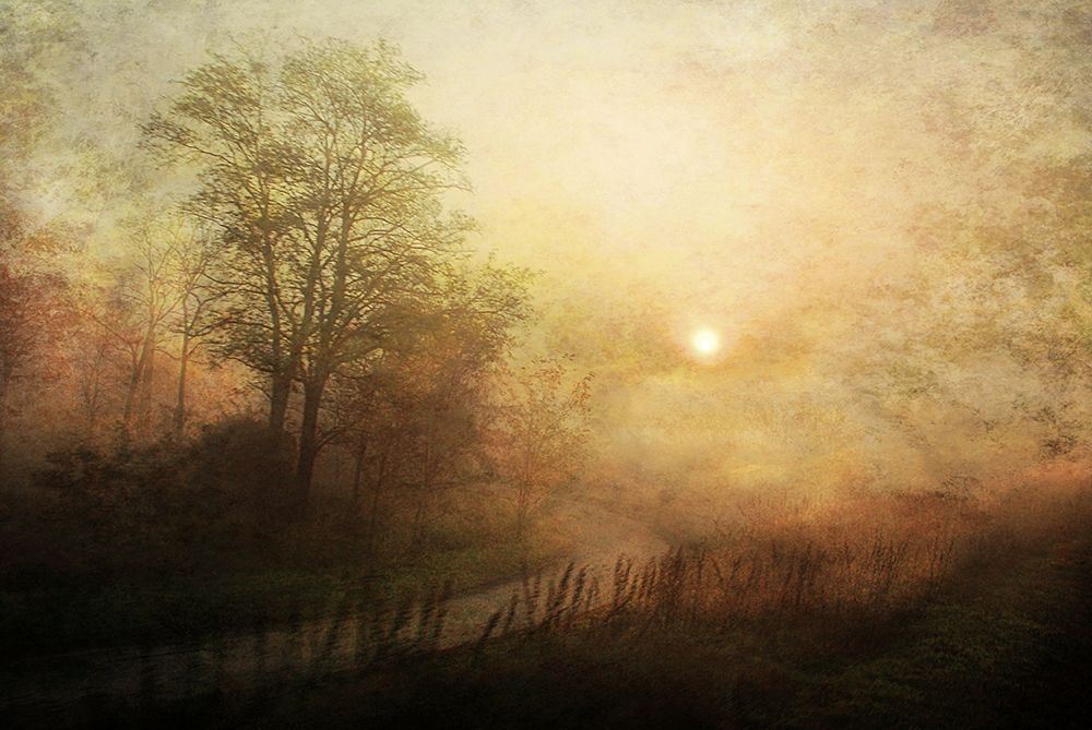 awakening art print by Nicoleta Gabor for $57.95 CAD