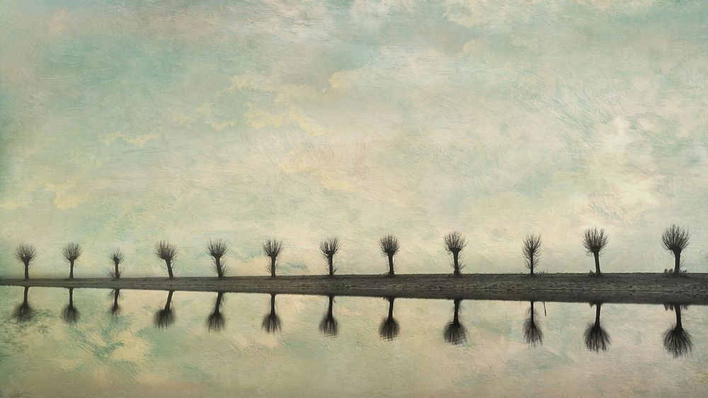Trees art print by Ytje Veenstra for $57.95 CAD