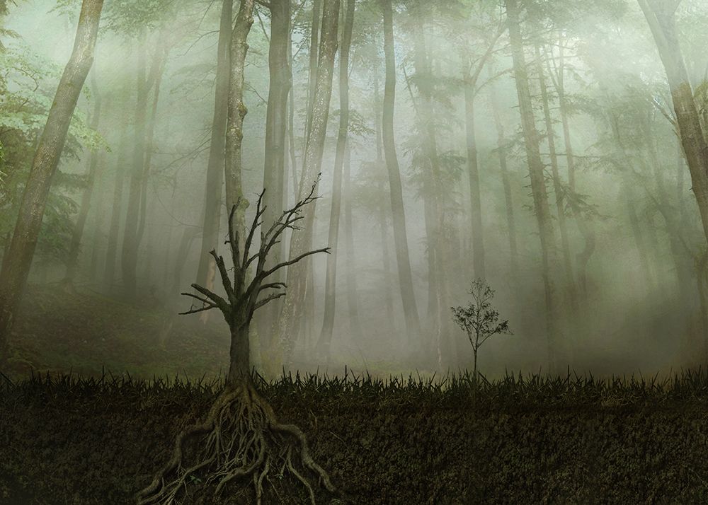 Root 1 art print by Aryana Golchin for $57.95 CAD