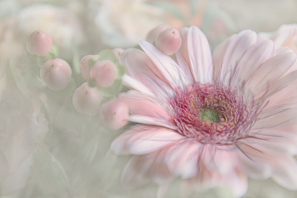 Flowering Happiness art print by Gilbert Claes for $57.95 CAD