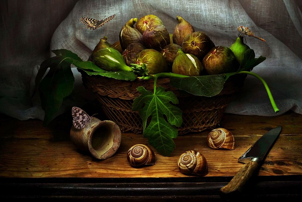 Still Life With Figs art print by Christian MARCEL for $57.95 CAD
