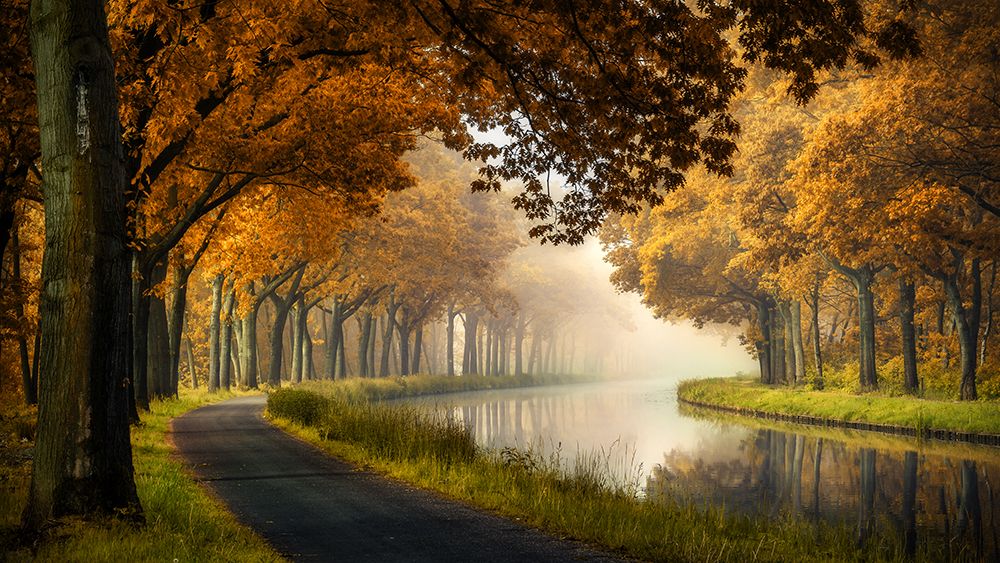 A calm morning art print by Sus Bogaerts for $57.95 CAD