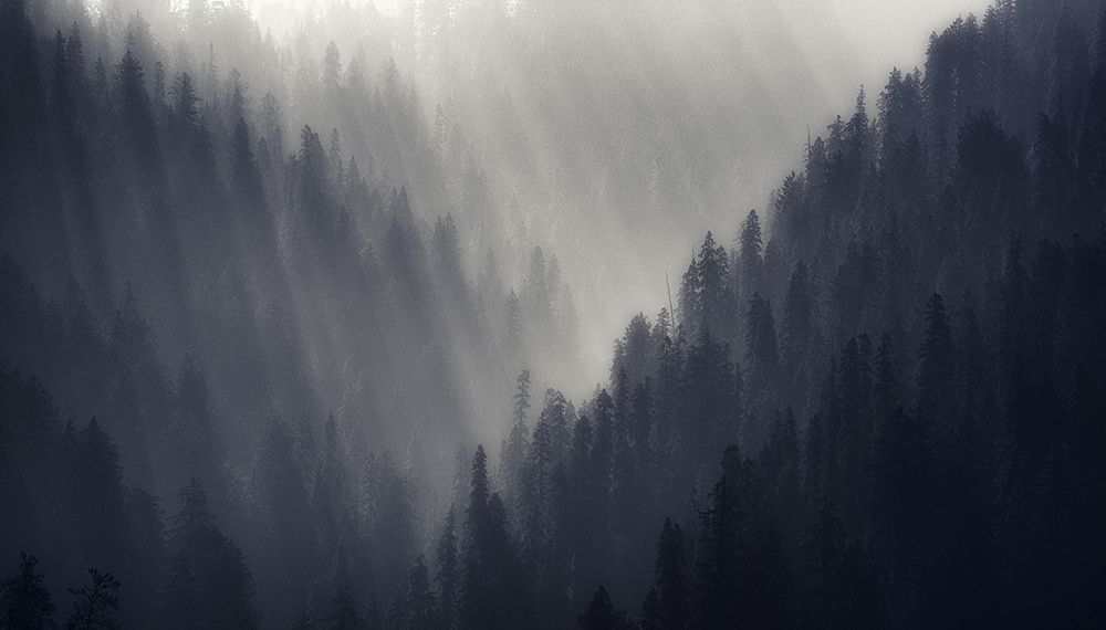mornings art print by Swapnil for $57.95 CAD