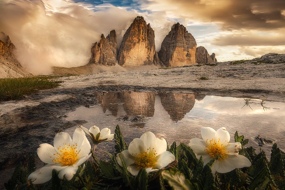 Tre Cime Di Lavaredo-Always Great Emotions! art print by Alberto Ghizzi Panizza for $57.95 CAD