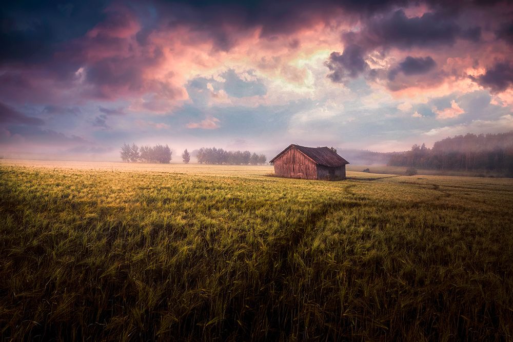 The sun art print by Mika Suutari for $57.95 CAD
