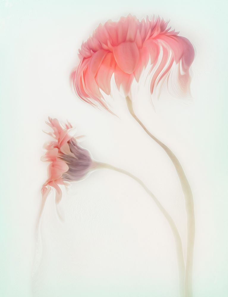 Fragile Beauty art print by Gilbert Claes for $57.95 CAD
