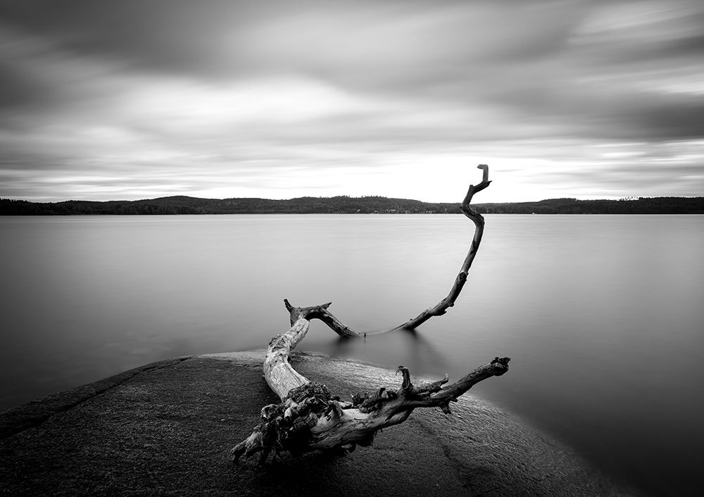 Branch Long Exposure Lake art print by Christian Lindsten for $57.95 CAD