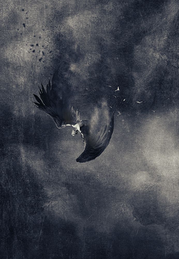 icarus art print by Jeffrey Hummel for $57.95 CAD
