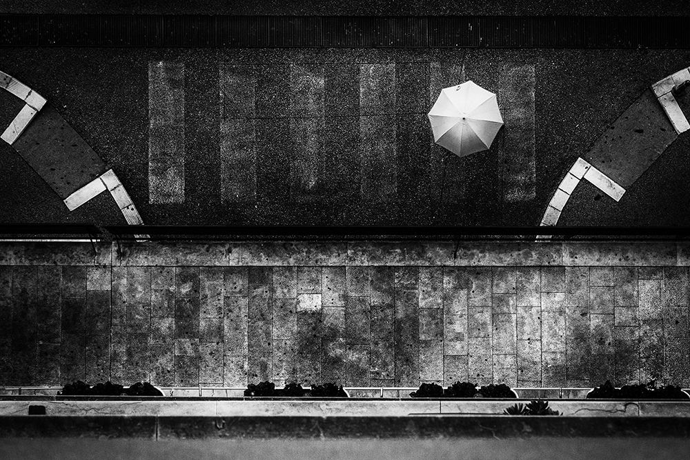Umbrella art print by Diana Junakovic for $57.95 CAD