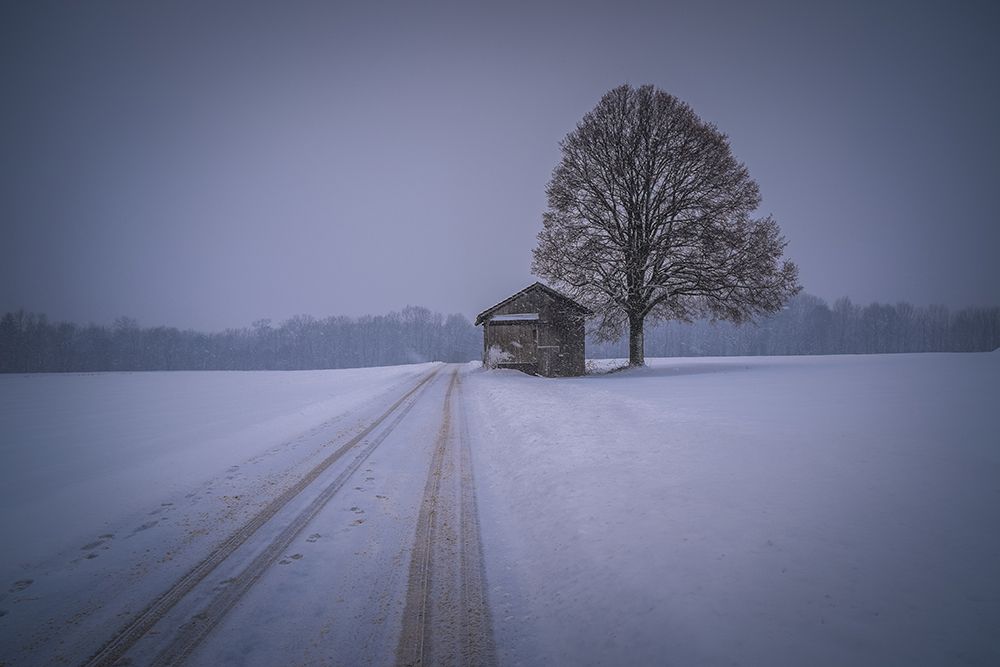silence art print by Renate Wasinger for $57.95 CAD