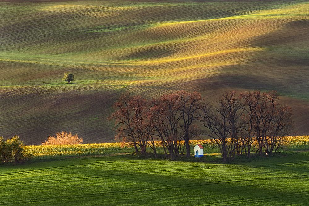 Contemplation in the fields art print by Marek Ondracek for $57.95 CAD