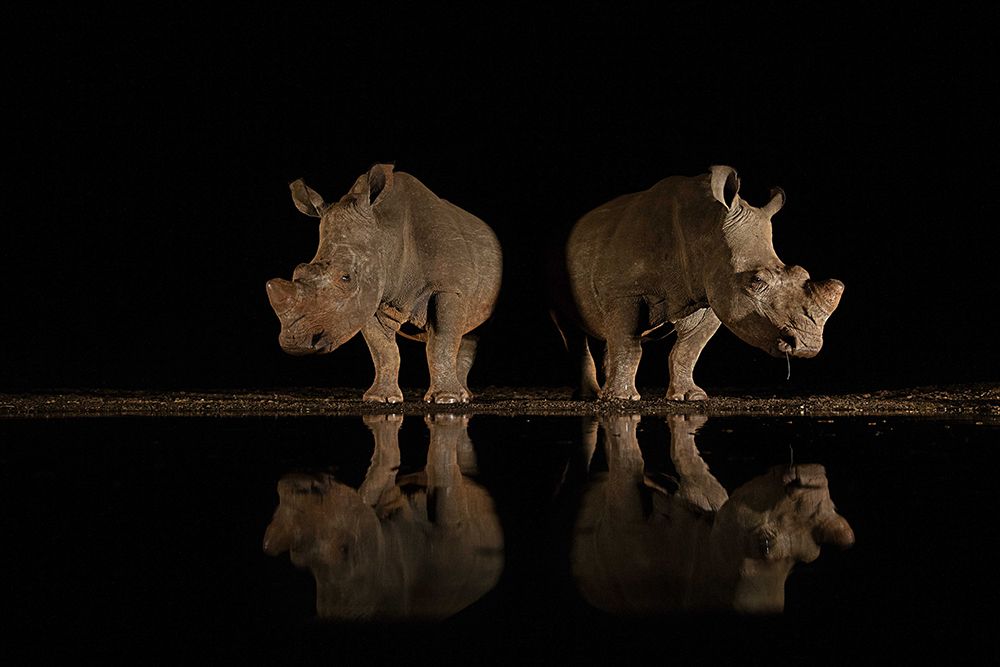 reflection art print by Amnon Eichelberg for $57.95 CAD