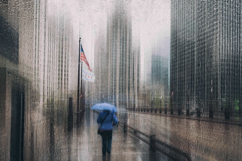 DuSable Bridge art print by Roswitha Schleicher-Schwarz for $57.95 CAD