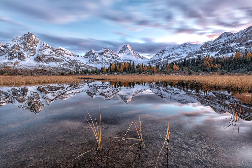 Imagine of Mt Assiniboine art print by Sunny Ding for $57.95 CAD