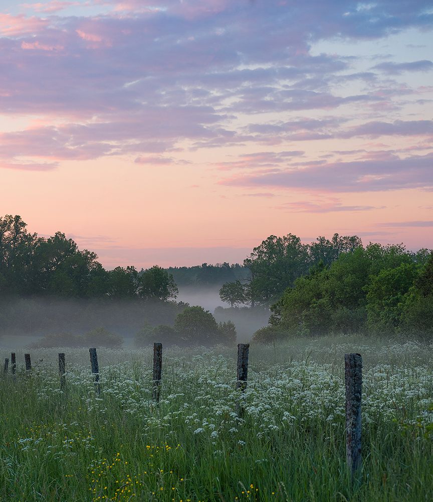 Fog and sunset art print by Christian Lindsten for $57.95 CAD