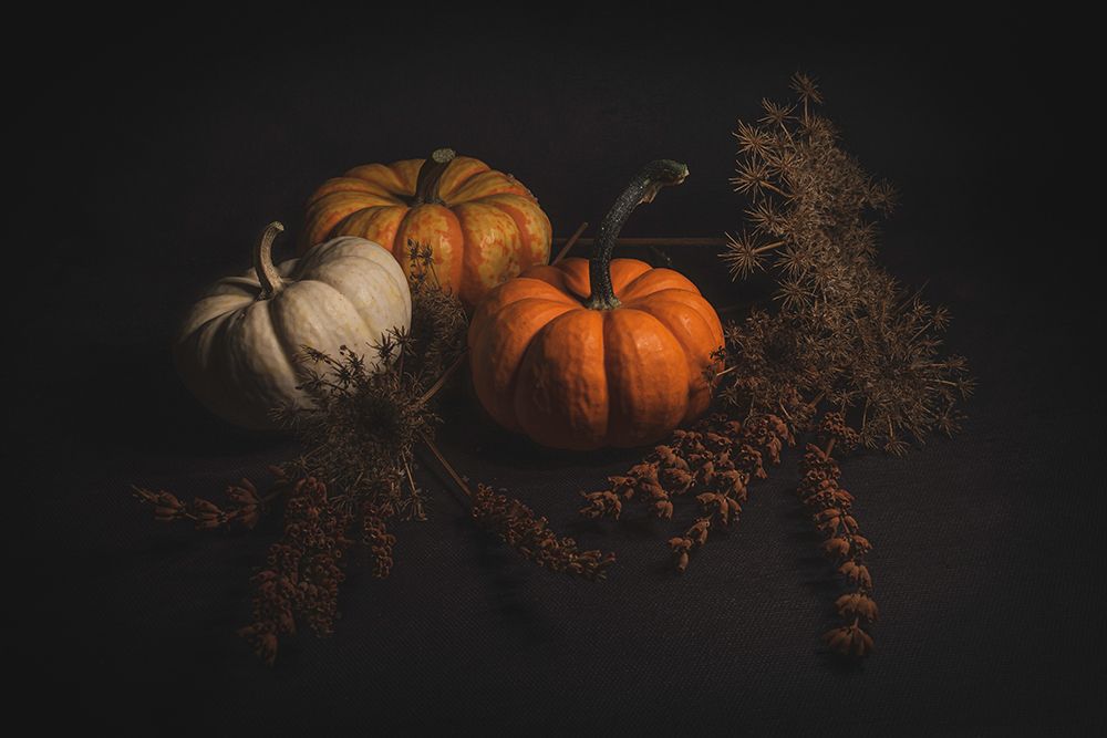 Before Halloween art print by Cicek Kiral for $57.95 CAD