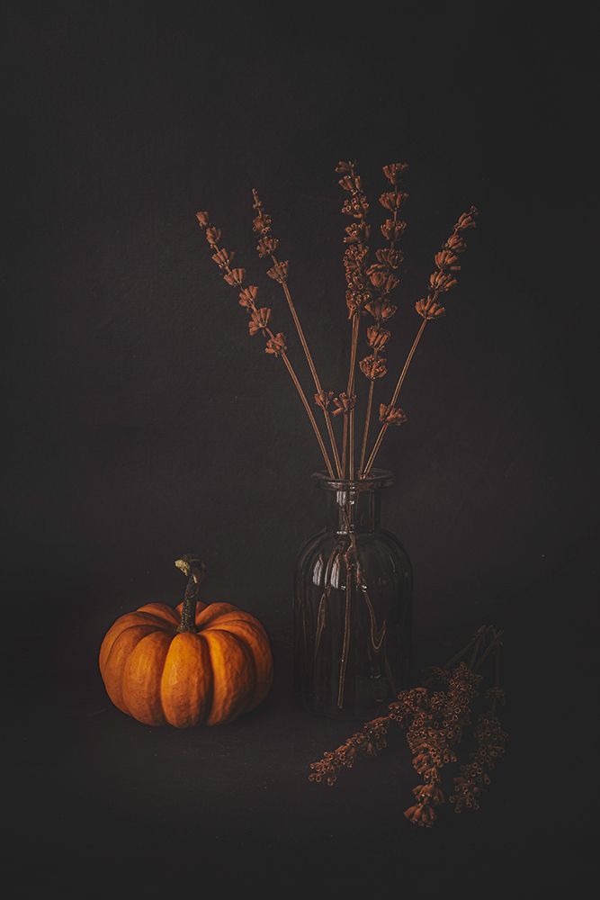 Lavenders and the Pumpkin art print by Cicek Kiral for $57.95 CAD
