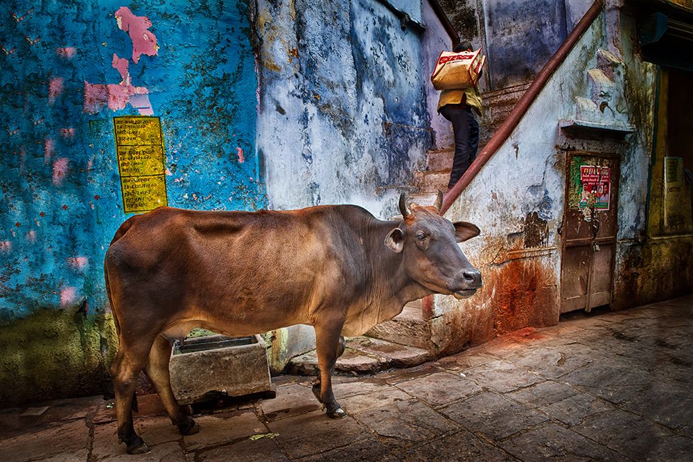 Varanasi Alley art print by Giovanni Cavalli for $57.95 CAD