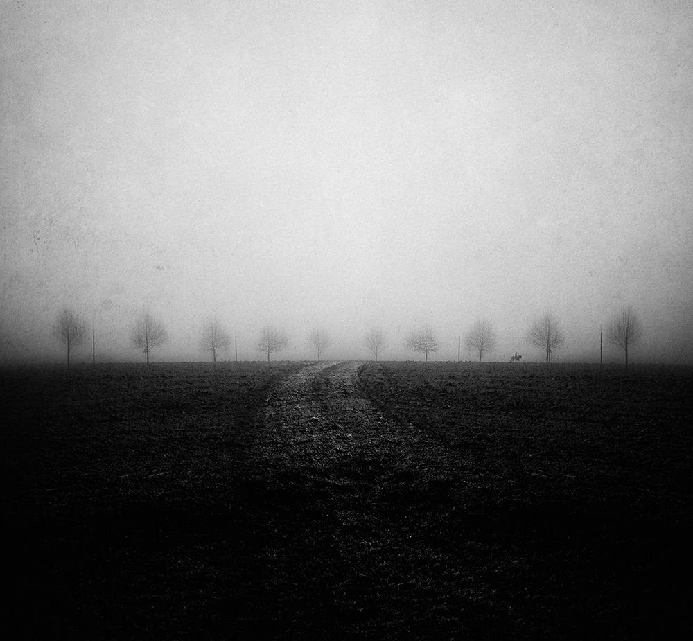Among The Ten art print by Adam Dauria for $57.95 CAD