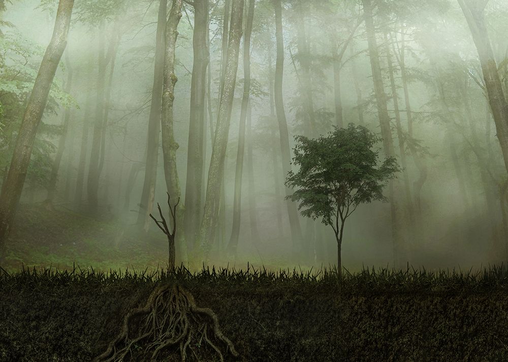 Root 2 art print by Aryana Golchin for $57.95 CAD